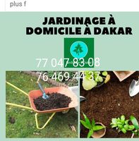 Devis Jardinage à domicile Dakar