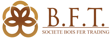 Devis société BFT Traitement bois et charpentes